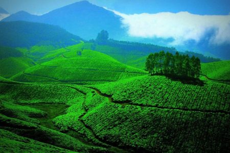 Kerala Tour 04 Nights 05 Days